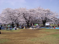 2007040105.jpg